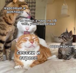 Параллельно обустройству в ВУЗе, знакомству с... image preview