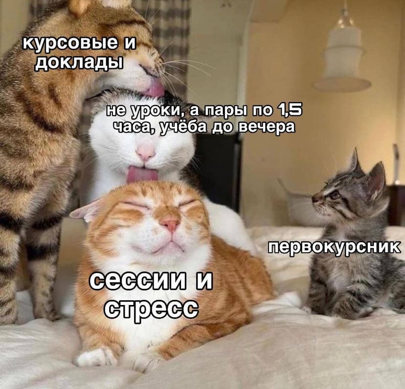 Фотография поста