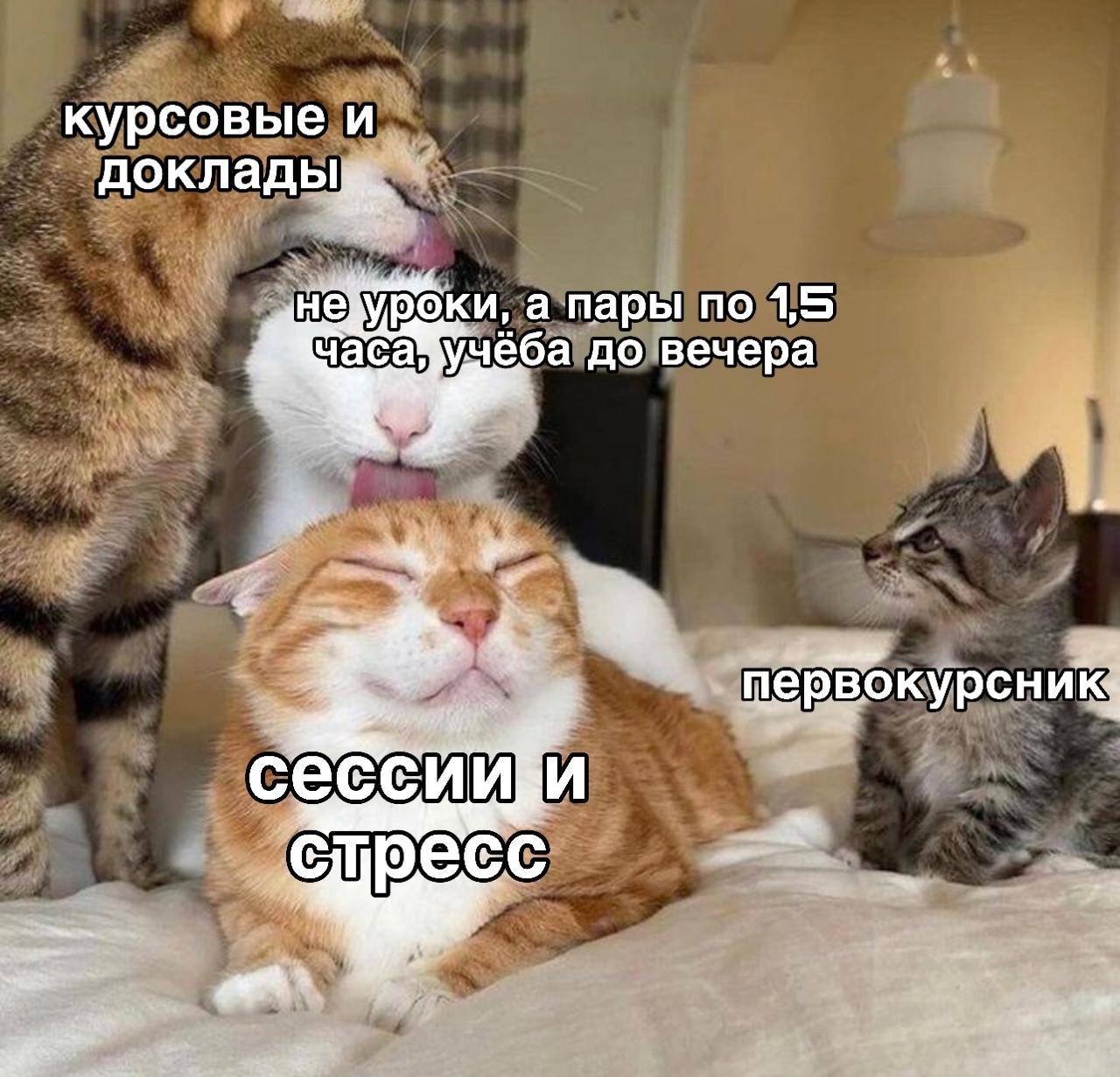 Фотография поста